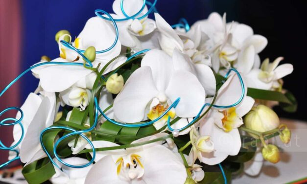 Schnittblumen länger frisch halten