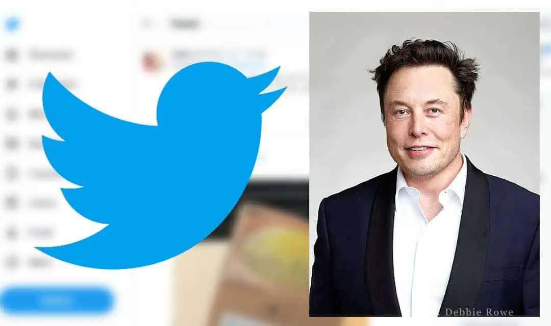 Elon Musk übernimmt Twitter