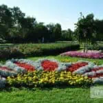 Donaupark in Wien