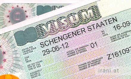Wiener Integrationsrat fordert Visaerleichterung
