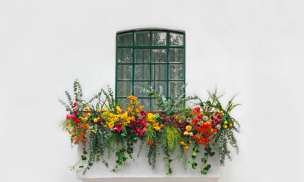 Tipps zu Balkonpflanzen und Blumen