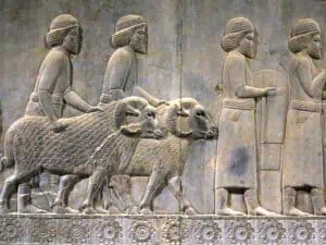 Wann wurde Persepolis gebaut?