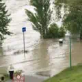 Hochwasserwarnung in Wien