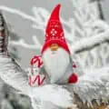 6 Dezember ist Nikolaus Tag