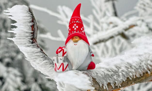 6 Dezember ist Nikolaus Tag