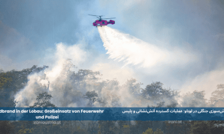 Waldbrand in der Lobau: Großeinsatz von Feuerwehr und Polizei