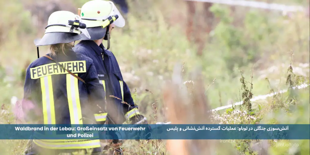 Waldbrand in der Lobau: Großeinsatz von Feuerwehr und Polizei
