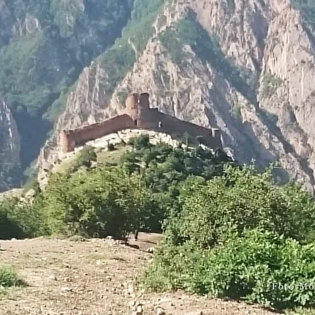 irani.at
